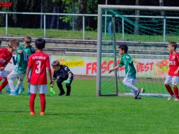 Hillen Cup 2024
